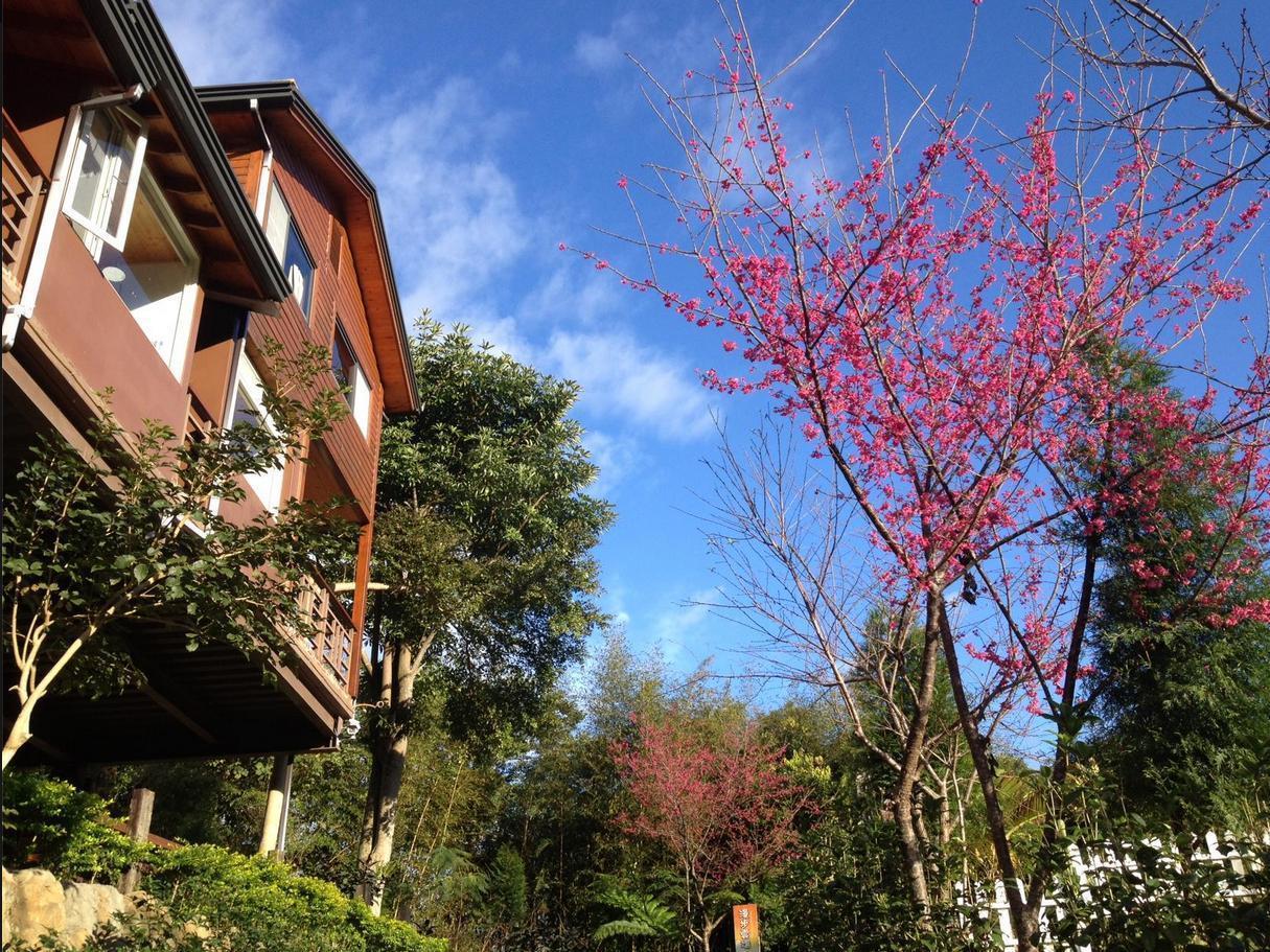 Walk Cloud Bed And Breakfast Meishan Eksteriør billede